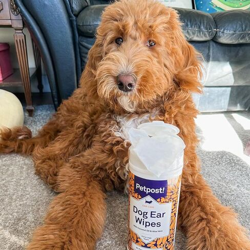 Petpost | Dog Ear Cleaner - Natural Coconut Oil Solution - Best Remedy for Odor - Dog Ear Problems - Chemical & Irritant Free 8 oz. in Saudi Arabia