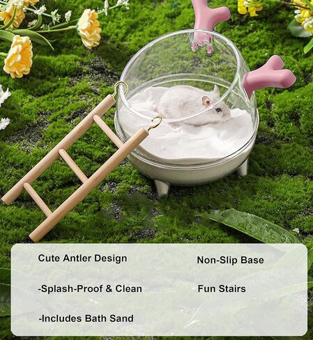 حاوية حمام رملية من Meow&Woof Hamster، صندوق رمل كبير للمرحاض Gerbil Batheom، صندوق حمام رملي صغير لحوض الاستحمام من غبار شينشيلا لملحقات قفص الهامستر 4.7 × 4.3 بوصة in Kuwait