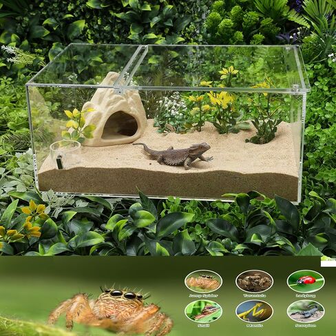 Jumping Spider Enclosure Front Opening Insect Snail Tree Frog Terrarium 7.8x5.3x10 Reptile Enclosure Reptile Enclosure Micro Habitat in Kuwait