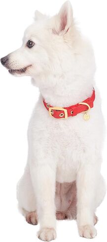 طوق كلب قابل للتعديل بحجر الراين المتلألئ من Blueberry Pet مع مشبك معدني، وردي فرنسي، رقبة 9-12.5 بوصة، للسلالات الصغيرة in Kuwait