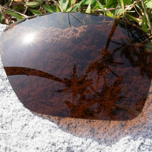 العدسات البديلة للنظارات الشمسية الموازية in Kuwait