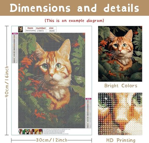 Ginfonr DIY 5D Diamond Art Kits for Adults, Woman Diamond Painting for Adults, Diamond Art Landscapes Full Drill, Diamond Art Kits Embroidery Rhinestone Craft for Home Wall Decor 12 * 16 Inch in Saudi Arabia