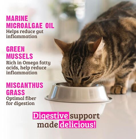 Rawz DIGESTIVE SUPPORT CAT FOOD 5.5 Ounce Cans, 24 Pack (Chicken/Pork/Pumpkin) in Saudi Arabia