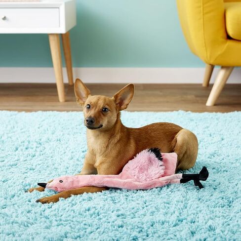 SPOT Skinneeez | Stuffless Dog Toy with Squeaker For All Dogs | Tug-Of-War Toy For Small and Large Breeds | 17" | Chicken Design | By Ethical Pet in Saudi Arabia