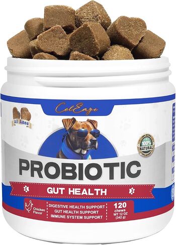 Probiotics for Dogs 150 Count Soft Chews Canine Pet Prebiotics with 6 Digestive Enzymes Promotes Gut Health Lamb Flavor in Saudi Arabia