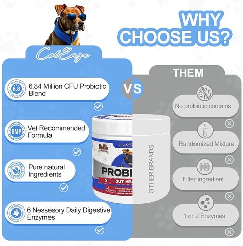 Probiotics for Dogs 150 Count Soft Chews Canine Pet Prebiotics with 6 Digestive Enzymes Promotes Gut Health Lamb Flavor in Saudi Arabia