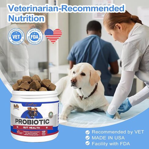 Probiotics for Dogs 150 Count Soft Chews Canine Pet Prebiotics with 6 Digestive Enzymes Promotes Gut Health Lamb Flavor in Saudi Arabia