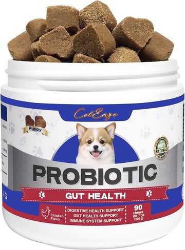 Probiotics for Dogs 150 Count Soft Chews Canine Pet Prebiotics with 6 Digestive Enzymes Promotes Gut Health Lamb Flavor in Saudi Arabia