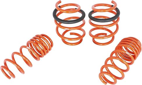 Afe Filters 410-302001-N Lowering Spring in Saudi Arabia