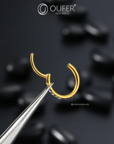 OUFER Hoop Nose Rings For Women Men, 20G AB Zircon Nose Piercing Jewelry, Hinged Segment Nose Piercings Kit, 316L Surgical Steel Septum Lip Rings Cartilage Rook Helix Tragus Daith Earrings in Saudi Arabia