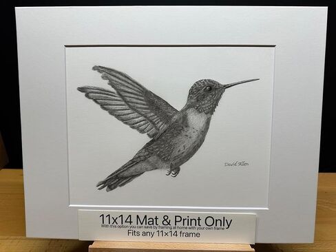 Hummingbird Bird Graphite Art Art Sketch رسم طباعة صورة محدودة بعنوان "Hummingbird" بقلم David Allen (11x14 Frame & Print) in Saudi Arabia