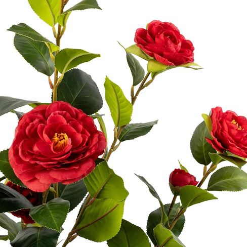Artificial Camellia Tree 2 Pack, Artificial Plants Outdoor Faux Floral Plant in Cement Pot Fake White Silk Camellia Tree Plants for Home House Living Room Office Decor (White) in Saudi Arabia