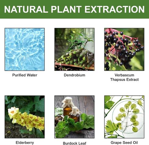 2024 أحدث طراز Dendrobium & Mullein مستخلصات العشبية الدعم القوي للرئة ، Mullein قطرات للرئتين ، 30 مل ، إسقاط 1-2ml في وقت واحد ， 1ounce (صندوق من 1) جوهر العناية العشبية (1) in Saudi Arabia