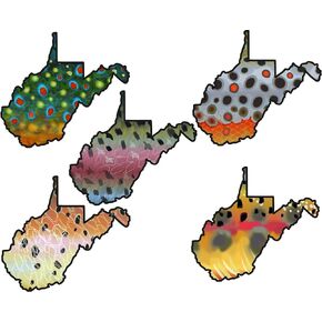 West Virginia 6" Trout Fly Fishing Bumper Sticker Decal Set Waterproof Vinyl Great Gift for Angler Jeep Truck Car Boat Brown Trout Rainbow Trout Golden Trout Brook Trout Cutthroat Trout