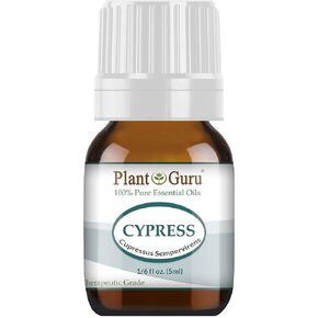Cypress Essential Oil 5 ml. 100% Pure Undiluted Therapeutic Grade