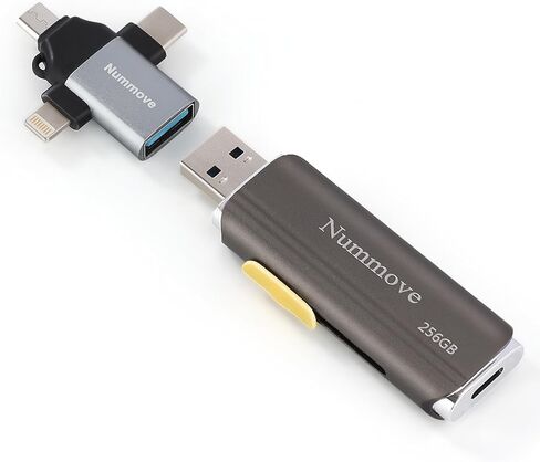 محرك أقراص فلاش SSD بسعة 256 جيجابايت مع شريحة وOTG، محرك أقراص USB بسعة كبيرة للغاية 256 جيجابايت، شريحة ذاكرة عالية السرعة 256 جيجابايت للكمبيوتر، محرك أقراص الحالة الصلبة 256 جيجابايت، محرك إبهام محمول 1/4 تيرابايت: محرك القفز 256 جيجابايت in Kuwait