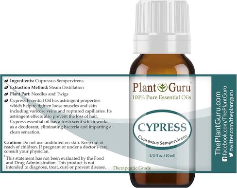 Cypress Essential Oil 5 ml. 100% Pure Undiluted Therapeutic Grade in Saudi Arabia
