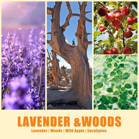 Sympathy Gifts for Loss of Loved One - Lavender Scented Soy Candle, Memorial Candle for Grief, Condolence Gift for Men and Women, Pet Loss Remembrance in Kuwait