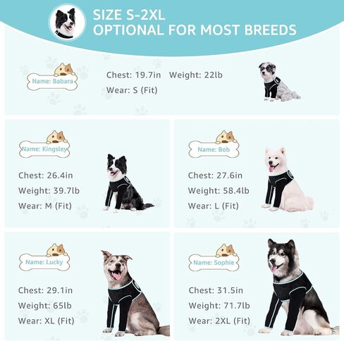 Recovery Sleeve for Dogs, Front Leg Protection After Surgery, Dog Leg Sleeve to Stop Licking, Bite and Keep Dry, Machine Washable Waterproof Abrasion Resistant Dog Recovery Sleeve (XXL) in Kuwait