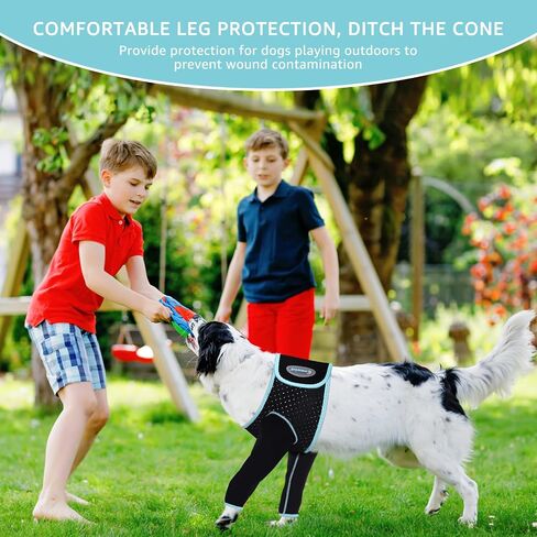 Recovery Sleeve for Dogs, Front Leg Protection After Surgery, Dog Leg Sleeve to Stop Licking, Bite and Keep Dry, Machine Washable Waterproof Abrasion Resistant Dog Recovery Sleeve (XXL) in Kuwait