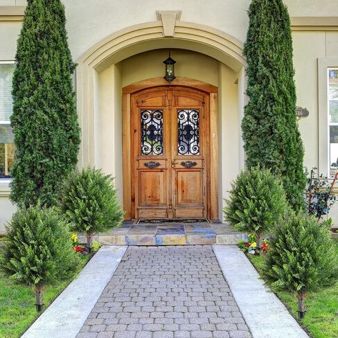 2 Pcs Artificial Cedar Topiary Bush 25" Tree UV Resistant with Spike Easy to Push in The Ground Artificial Cedar Topiary Tree Shrubs Fake Plants for Indoor Outdoor Home Garden in Saudi Arabia