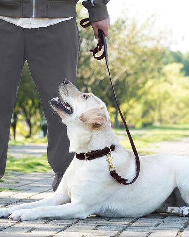 Joytale Leather Dog Leash, Genuine Cowhide with Brass Hook, Heavy Duty Leather Leashes for Large Medium Dogs（Brown, 6ft×3/4''） in Kuwait