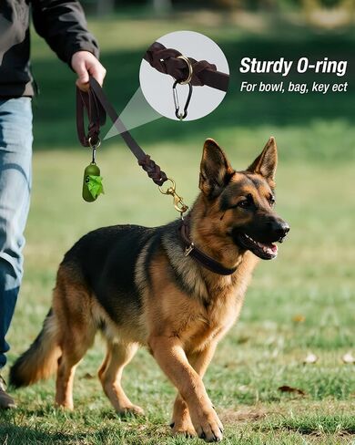 Joytale Leather Dog Leash, Genuine Cowhide with Brass Hook, Heavy Duty Leather Leashes for Large Medium Dogs（Brown, 6ft×3/4''） in Kuwait