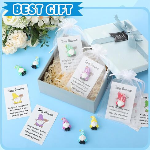 30 Sets Good Luck Positive Gifts Bulk Include Mini Gnomes Figurines, Encouragement Blessing Cards and Gift Pockets Bulk for Graduation Coworkers Fairy Yard Lawn Garden DIY Crafts in Saudi Arabia