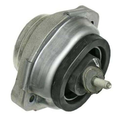 Parts Number# 22116770793 A22116770793 Engine Rubber pier L/R 1pack in Kuwait