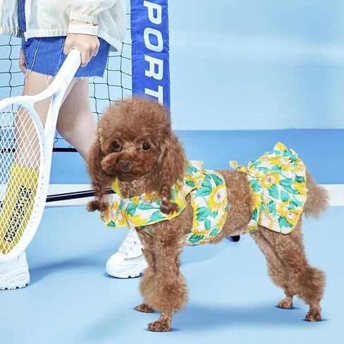 فساتين الكلاب ، ملابس الكلاب ، فساتين الحيوانات الأليفة للصيف ، زي جرو فاخر مع أعلى محصول وتنورة ، تنورة كلب لطيف مع عزر عباد الشمس ، ملابس القط (أصفر وخضراء ، x-large ، 2 pcs) in Kuwait
