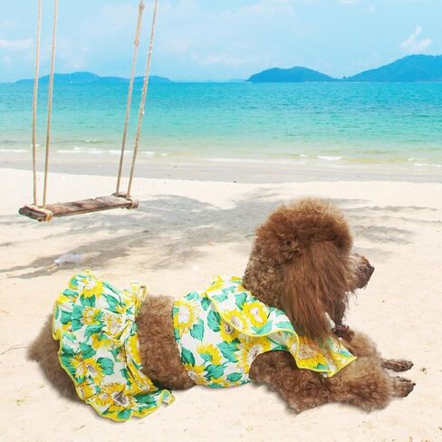 فساتين الكلاب ، ملابس الكلاب ، فساتين الحيوانات الأليفة للصيف ، زي جرو فاخر مع أعلى محصول وتنورة ، تنورة كلب لطيف مع عزر عباد الشمس ، ملابس القط (أصفر وخضراء ، x-large ، 2 pcs) in Kuwait