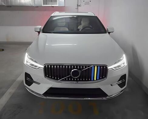 iJDMTOY Exact Fit Sweden Flag Color Grille Decoration Insert Trims Compatible With Volvo 2022-up LCI XC60 Vertical Front Grill (Color: Blue/Yellow/Blue) in Saudi Arabia