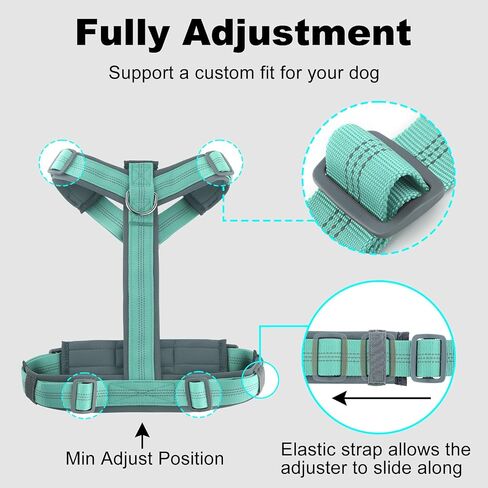 Plutus Pet No Pull Dog Harness, Adjustable Nylon Harness with Soft Padding in Kuwait