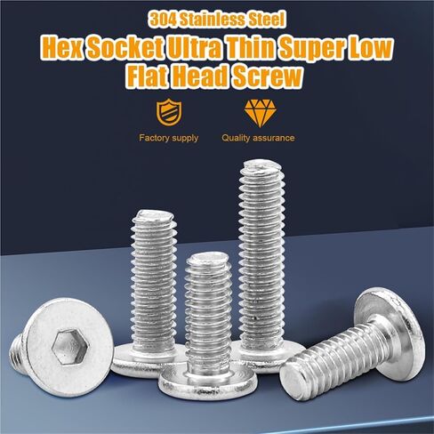 2-50 Pieces Hex Socket Screw Ultra Thin Super Flat Wafer Head M2 M2.5 M3 M4 M5 M6 M8 Stainless Steel cm Screw (50mm, M10 2pcs) in Saudi Arabia