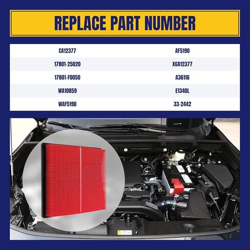 Engine and Cabin Air Filter for Toyota Rav4 20-24 Camry Gas 18-24 Highlander 20-24 Avalon 19-22 for Lexus ES350 19-24 NX350 22-24 NX250 22-24 NOT Fit for Hybrid Replace CA12377 CF12157 in Saudi Arabia