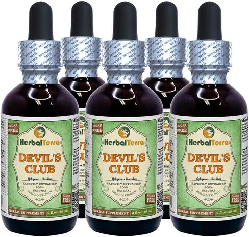 Devil's Club (Oplopanax Horridus) Glycerite, Organic Dried Root Bark Alcohol-Free Liquid Extract 2 oz in Saudi Arabia
