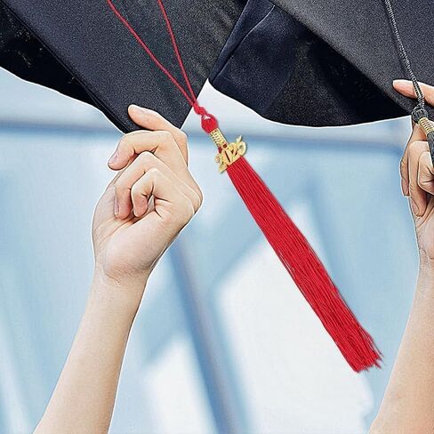 12Pcs 2025Graduation Cap Tassel,Graduation Party Decoration,Party Graduation Gold Tassels,broochAcademicGraduation CeremoniesMulti-Color Tassel Charm (red) in Saudi Arabia