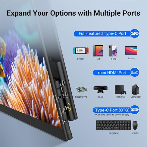 InnoView 4K OLED Portable Monitor, 14 Inch UHD Portable OLED Monitor for Laptop 100% DCI-P3, 1MS with Speaker and Stand, USB-C HDMI High-end Portable Screen for Laptop PC MAC Phone PS4 Xbox Switch in Kuwait