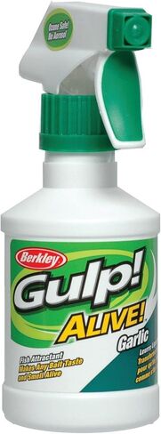 Berkley PBBPT in Saudi Arabia