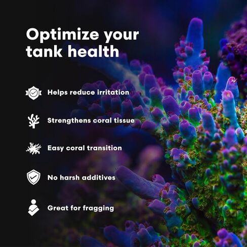 Brightwell Aquatics MediCoral - Coral Dip for New Coral Additions and to Benefit Established Corals , 30-ml in Kuwait