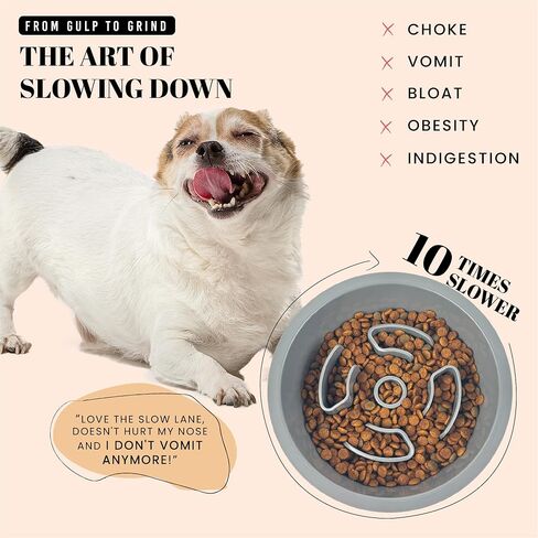 1.5 Cups Slow Feeder Dog Bowls with Non-Slip Bottom, Puppy Slow Feeder Bowl to Slow Down Eating, Cat Dog Food Puzzle Bowl Fits Raised Dog Bowl, Slow Feeder Cat Bowl for Small Medium Breed in Kuwait