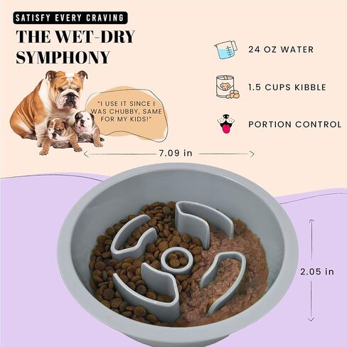 1.5 Cups Slow Feeder Dog Bowls with Non-Slip Bottom, Puppy Slow Feeder Bowl to Slow Down Eating, Cat Dog Food Puzzle Bowl Fits Raised Dog Bowl, Slow Feeder Cat Bowl for Small Medium Breed in Kuwait