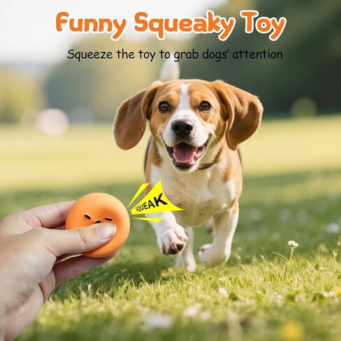 SCHITEC Squeaky Dog Toys, Funny Interactive Puppy Ball Toy, [6 Pack] Latex Rubber Squeak Pet Balls for Puppies Small Breed Dogs in Kuwait