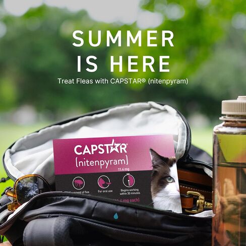 CAPSTAR (nitenpyram) Oral Flea Treatment for Cats, Fast Acting Tablets Start Killing Fleas in 30 Minutes, Cats 2-25 lbs, 6 Doses in Kuwait