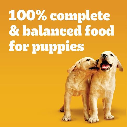 Pedigree Puppy Soft Wet Dog Food, 8-Count Variety Pack, 3.5 oz. Pouches (Pack of 2) in Kuwait