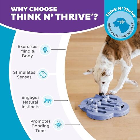 Hound Outward by Nina Ottosson Lickin 'Layers Dog Puzzle Resered ، Tlies 2 Troricment Dog Toy ، Multicolored in Kuwait