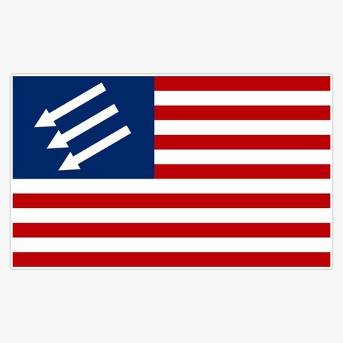 Magnet Anti-Fascist American Flag Magnet Vinyl Decal Sticker 5" in Saudi Arabia