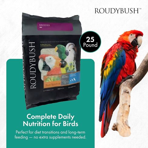 Roudybush Breeder Bird Food, Small, 44-Ounce in Kuwait