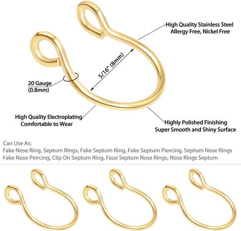 2-6 Pcs 18G 20G Nose Rings Hoops Nose Piercings Nose Piercing Jewelry Fake Nose Ring Fake Piercings Septum Double Hoop Nose Ring Hoop Lip Nose Rings for Women Clip On Helix Cartilage Hoop Earrings in Saudi Arabia