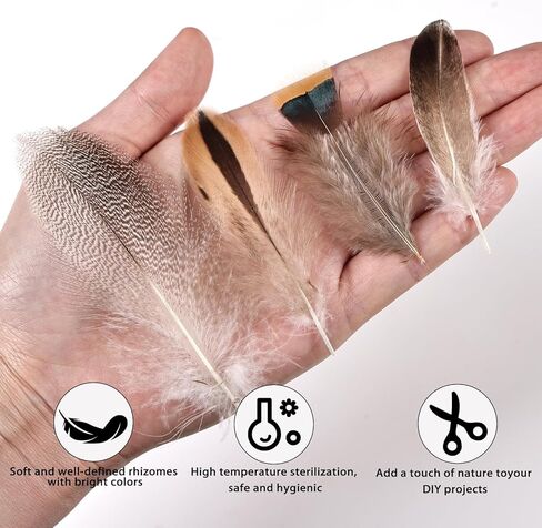 THARAHT 240pcs Mix Colour Eight Style Spotted Small Natural Bulk Feathers 2-6 Inches for for Sewing Crafts Clothing Jewelry Wedding Hair Hats Dream Catcher Decoration Guinea Fowl Feathers in Kuwait